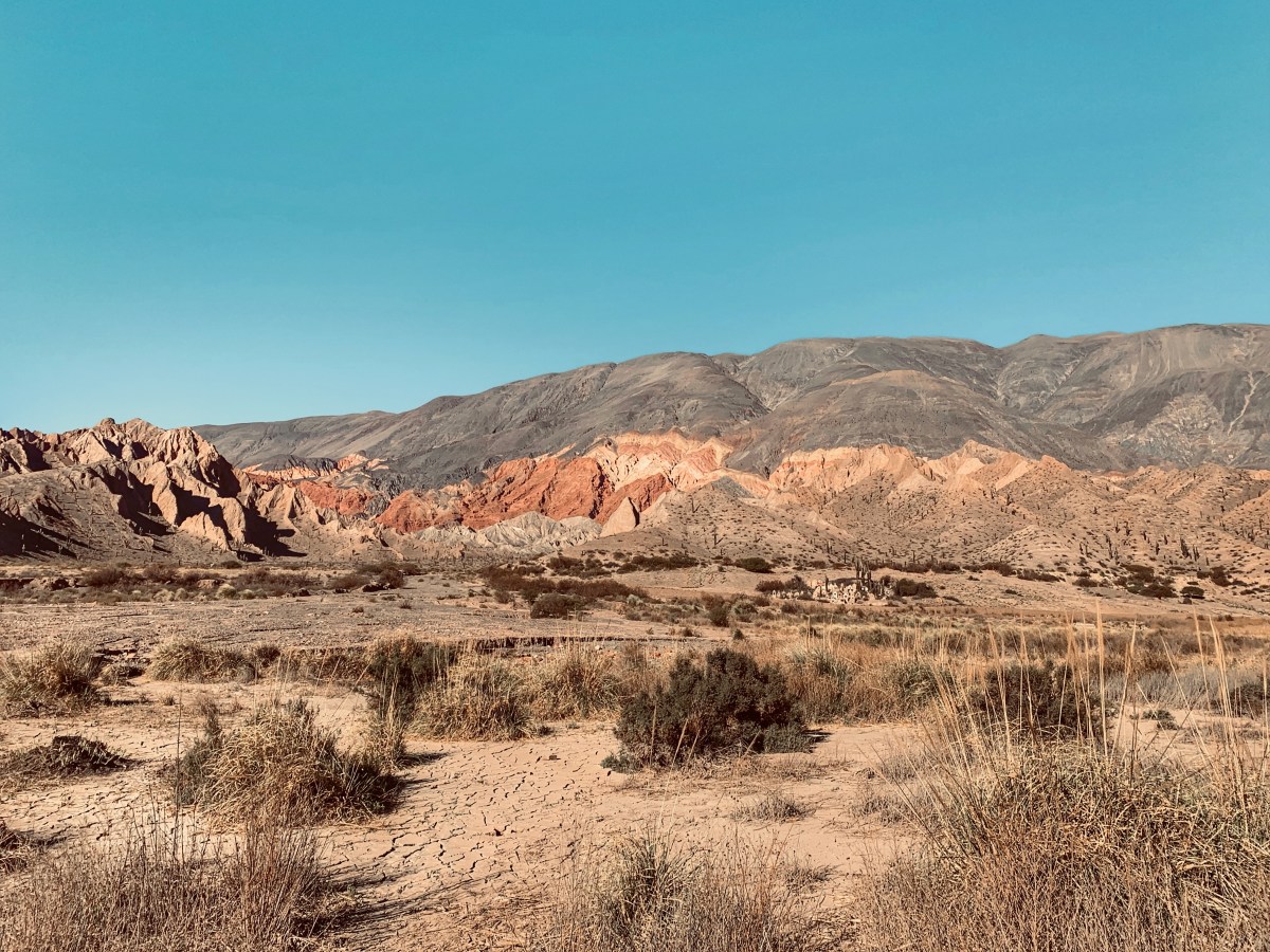 Tren a las Nubes: el sueño hecho&nbsp;realidad